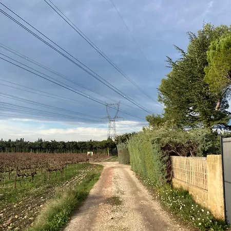 Tatil Evi Maison Au Calme Dans Les Vignes Rochefort-du-Gard